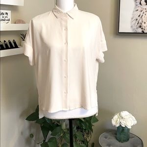 Short Sleeve Dressy Button Down